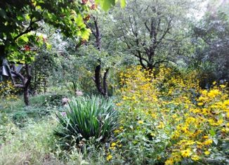 Продам земельный участок, 12 сот., СНТ Ветеран, улица 3-я Линия