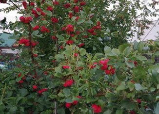 Дом на продажу, 18 м2, Бурятия