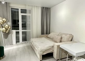 Продам квартиру студию, 28 м2, Тюмень, 2-я Луговая улица, 22к3, ЖК Салют