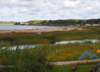 Продается земельный участок, 50 сот., деревня Трепарево