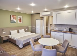 Продажа квартиры студии, 35.1 м2, Санкт-Петербург, Малый проспект Васильевского острова, 54к2, Малый проспект Васильевского острова