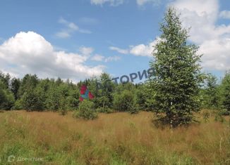 Земельный участок на продажу, 20 сот., деревня Интюшово