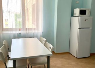 2-ком. квартира в аренду, 68 м2, Санкт-Петербург, Фермское шоссе, 32