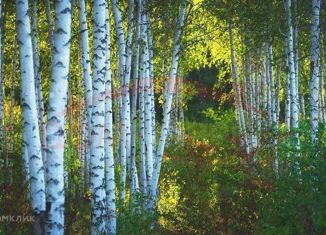 Продаю 2-ком. квартиру, 48 м2, Воронеж, улица Берёзовая Роща, 4А, ЖК Легенда парк