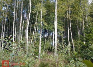 Продажа участка, 10 сот., СНТ Ключи