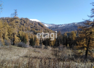 Продается земельный участок, 300 сот., село Усть-Кокса