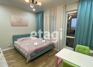 Квартира на продажу студия, 21 м2, Санкт-Петербург, Земледельческая улица, 3, Земледельческая улица