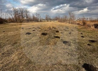 Продам участок, 38 сот., село Ковалевское, Набережная улица, 5