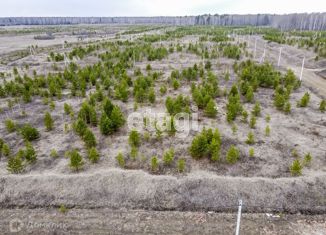 Продаю земельный участок, 12 сот., деревня Московка, 2-я линия