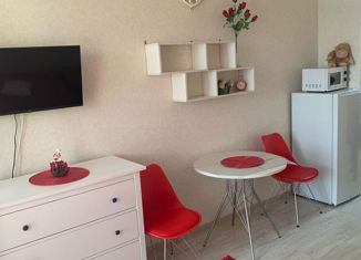 Продается квартира студия, 24 м2, Анапа, Владимирская улица, 142, ЖК Триумф