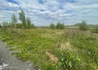 Продам участок, 34 сот., деревня Холуденево, Рябиновая улица, 204