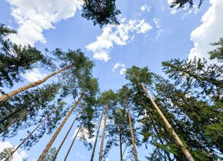 Продам земельный участок, 10 сот., село Перевалово