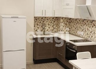 Сдается квартира студия, 29 м2, Новосибирск, улица Фрунзе, 49/2, метро Маршала Покрышкина