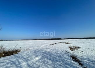 Земельный участок на продажу, 423 сот., деревня Кусино