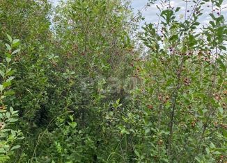 Продам земельный участок, 16 сот., село Сосновка, Луговая улица, 3