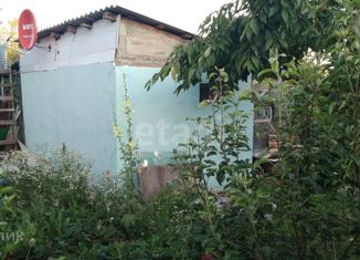 Продажа дома, 64 м2, садоводческое некоммерческое товарищество Здоровье, Вишнёвая улица, 26