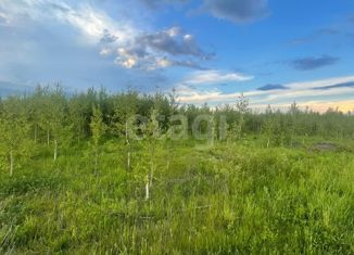 Участок на продажу, 11.7 сот., деревня Шоя-Кузнецово, деревня Шоя-Кузнецово, 58