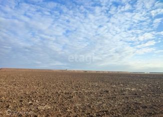 Продажа участка, 2500 сот., Сусанинское сельское поселение