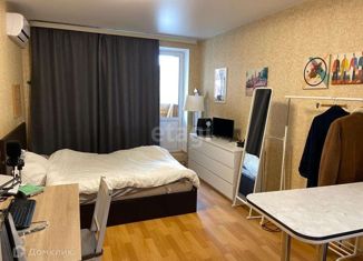 Продается квартира студия, 30 м2, село Осиновая Гора, Восточная улица, 9
