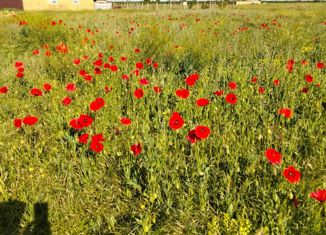 Продажа участка, 10 сот., село Владимировка