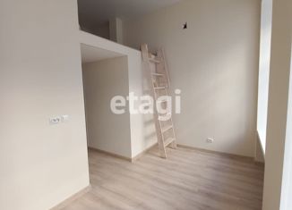 Продажа квартиры студии, 24.5 м2, Санкт-Петербург, 16-я линия Васильевского острова, 1, метро Василеостровская