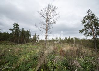 Продам земельный участок, 14.4 сот., Всеволожск, Всеволожский проспект