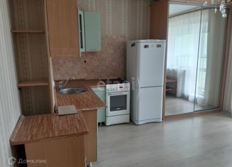 Продается квартира студия, 28 м2, Челябинск, улица Университетская Набережная, 85, жилой район Академ Риверсайд
