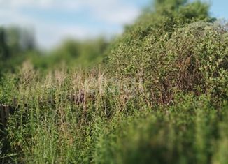 Земельный участок на продажу, 10 сот., садоводческое некоммерческое товарищество Муравушка