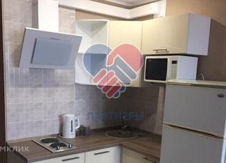 Продается квартира студия, 26 м2, Саратов, улица имени Академика Н.Н. Семёнова, 13