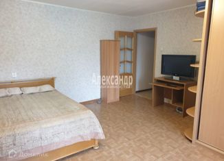 Продаю 1-комнатную квартиру, 41 м2, Санкт-Петербург, Клочков переулок, 4к1