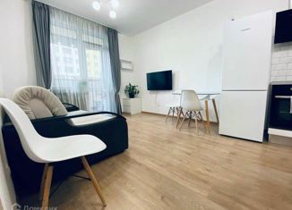 Продается однокомнатная квартира, 23.2 м2, Санкт-Петербург, Среднерогатская улица, 16к2, ЖК Фо Ю