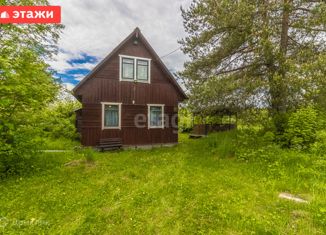 Продам дом, 50 м2, деревня Западное Кончезеро, Центральная улица