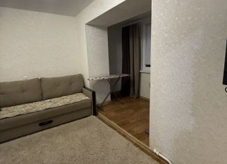 Продается двухкомнатная квартира, 51.9 м2, село Засечное, улица Механизаторов, 19