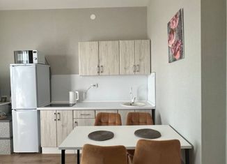 Продается квартира студия, 24.9 м2, Нижний Новгород, Новокузнечихинская улица, 13