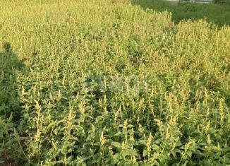 Земельный участок на продажу, 607 сот., село Шахи, Садовая улица, 17А