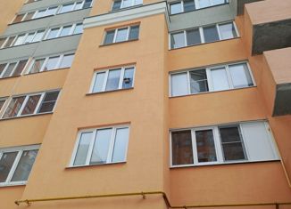 1-комнатная квартира на продажу, 42 м2, Владимирская область, улица Нижняя Дуброва, 48