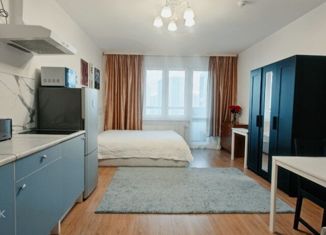 Продаю квартиру студию, 30 м2, Санкт-Петербург, метро Девяткино, аллея Евгения Шварца, 10