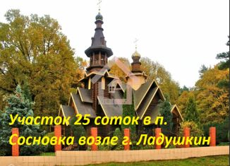 Продаю земельный участок, 25 сот., посёлок Сосновка