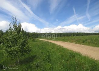 Продается участок, 501 сот., деревня Погромное, деревня Погромное, 61