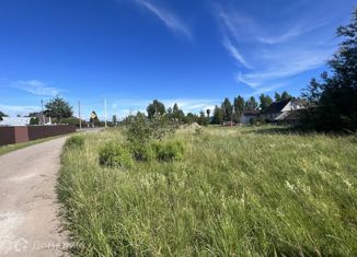 Продаю земельный участок, 10 сот., деревня Жидилов Бор