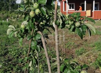 Дом на продажу, 30 м2, деревня Раболово, Звёздная улица, 3А