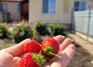 Продается дом, 55 м2, село Пруды, Центральная улица, 38