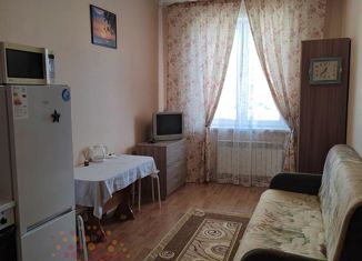 Сдаю в аренду квартиру студию, 20 м2, Новосибирск, улица Героев Революции, 21, улица Героев Революции