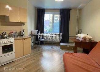 Сдается в аренду квартира студия, 28.6 м2, Мурино, Привокзальная площадь, 5Ак1, ЖК Мечта