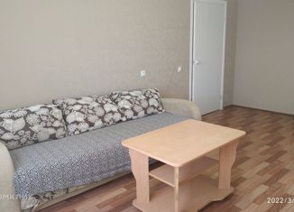 Сдам 1-комнатную квартиру, 37 м2, Кострома, улица Олега Юрасова, 7