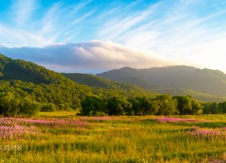 Продам участок, 10 сот., ДНТ Берлога