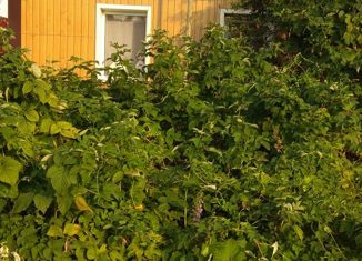 Продажа дома, 36 м2, рабочий посёлок Ракитное, Центральная площадь