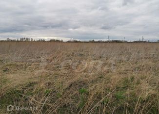 Продажа участка, 15 сот., село Борки