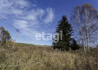 Продаю земельный участок, 17.6 сот., село Таргай, Луговая улица, 12