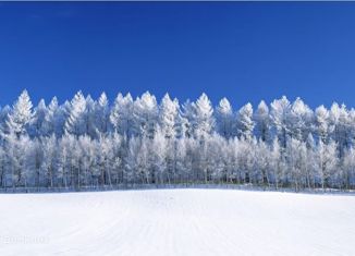 Продается участок, 10 сот., Комсомольск-на-Амуре, площадь Володарского